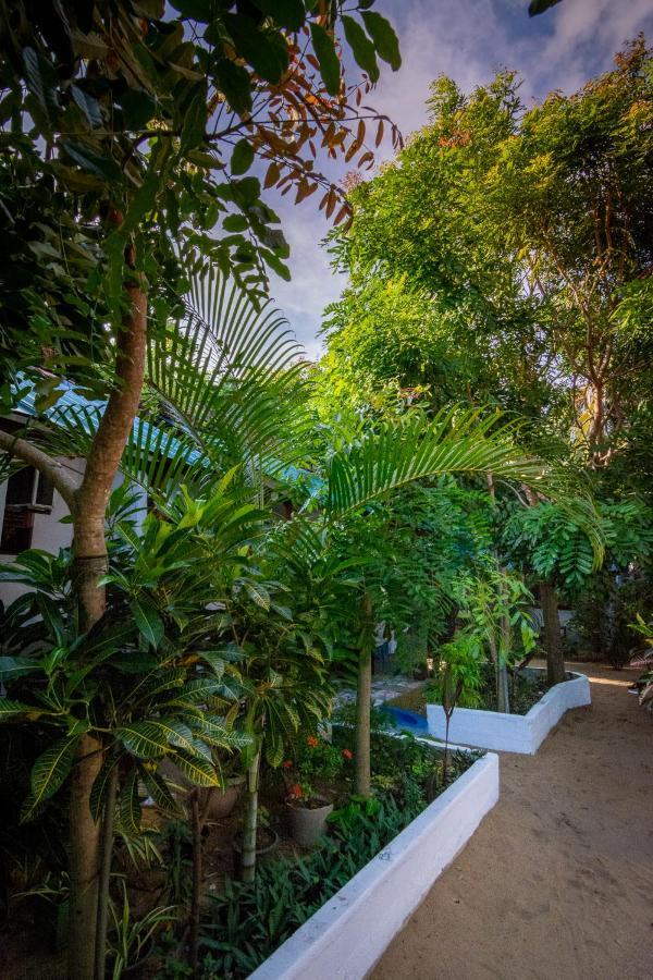 Comfort Beach Hotel Baie d'Arugam Extérieur photo